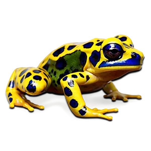 Poison Dart Frog Png Gat PNG Image