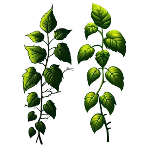 Poison Ivy Illustration Png Ujc PNG Image