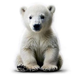 Polar Bear Cub Png 05062024 PNG Image