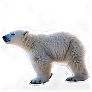 Polar Bear Cub Png 05062024 PNG Image