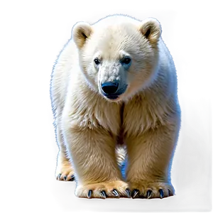 Polar Bear Cub Png 67 PNG Image