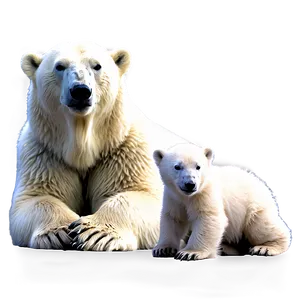 Polar Bear Family Png Hfp PNG Image