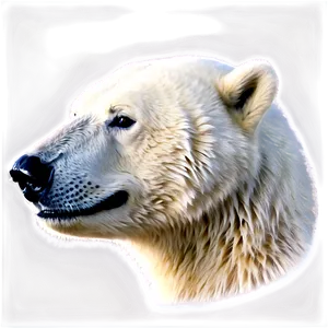 Polar Bear Head Logo Png Dnl40 PNG Image