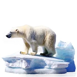 Polar Bear On Iceberg Png 05062024 PNG Image