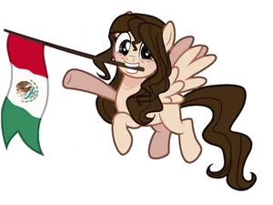 Ponywith Mexican Flag PNG Image