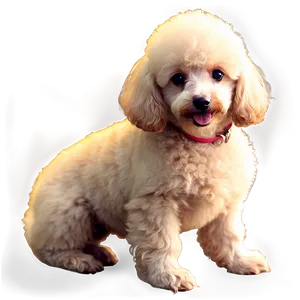 Poodle Puppy Icon Png 06112024 PNG Image