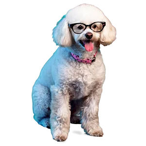 Poodle With Glasses Png 43 PNG Image