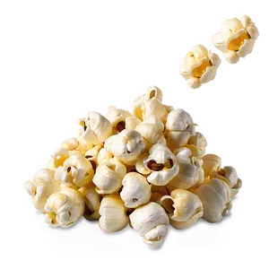 Popcorn Kernel C PNG Image