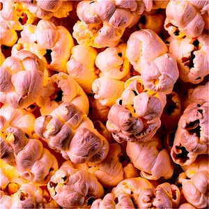 Popcorn Texture Png 05042024 PNG Image