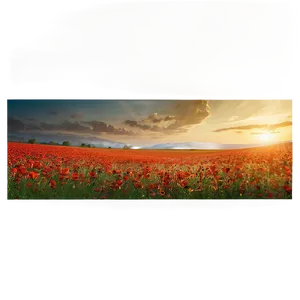 Poppy Field Landscape Png 06112024 PNG Image