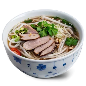 Pork Pho Delight Png Ysc15 PNG Image