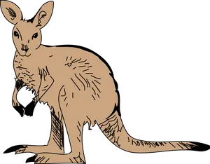 Possum Illustration Artwork PNG Image