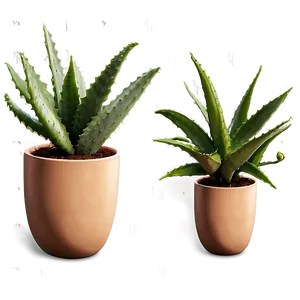 Potted Aloe Vera Plants Png Slt35 PNG Image