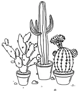 Potted Cactus Collection Line Art PNG Image