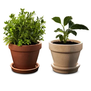 Potted Herbs Collection Png Fbi80 PNG Image