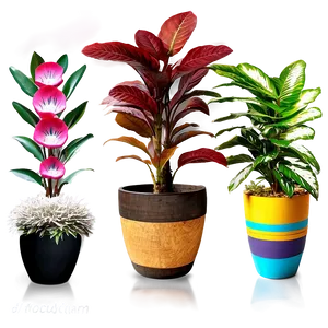 Potted Plant Decoration Ideas Png Bcq56 PNG Image