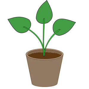 Potted Plant Illustration PNG Image