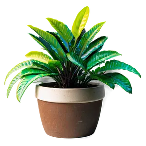 Potted Plants C PNG Image