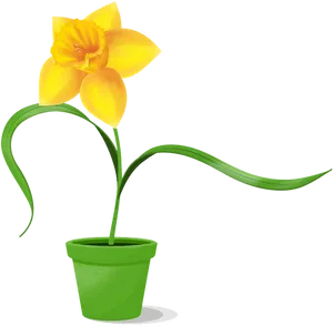 Potted Yellow Daffodil Graphic PNG Image