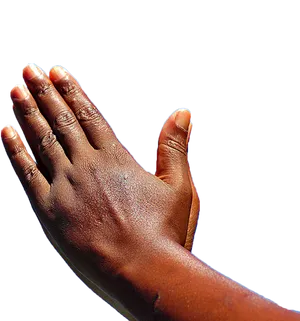 Praying Hands Isolated.png PNG Image