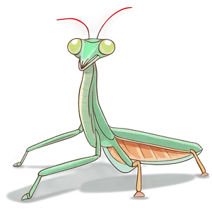 Praying Mantis Illustration Png 86 PNG Image