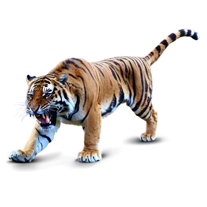 Predator Tiger On Hunt Png Lrn8 PNG Image