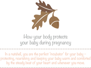 Pregnancy Protection Infographic PNG Image