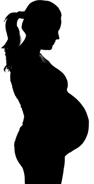 Pregnant Silhouette Profile PNG Image