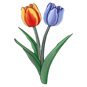 Pretty Tulip Sketch Png Oxa PNG Image