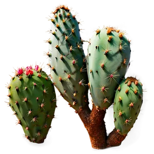 Prickly Pear Opuntia Png Tfj12 PNG Image