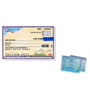 Printable Bank Check Sample Png Ybd PNG Image