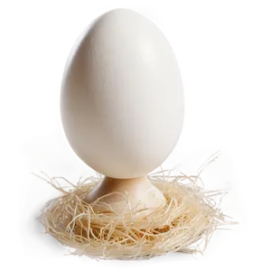 Pristine Condition White Egg Png Eoi47 PNG Image