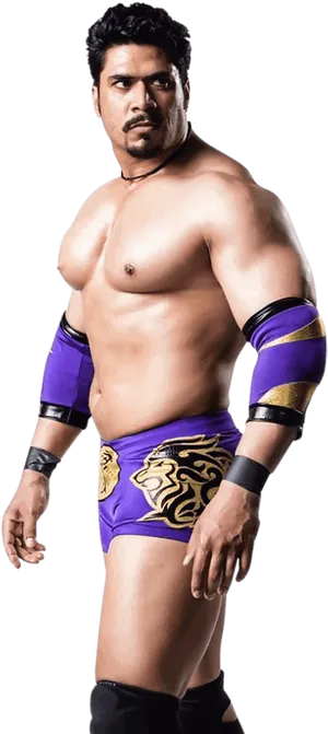 Pro Wrestler In Purple Attire PNG Image