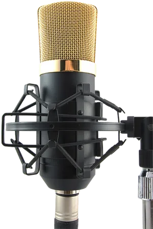 Professional Condenser Studio Microphone PNG Image