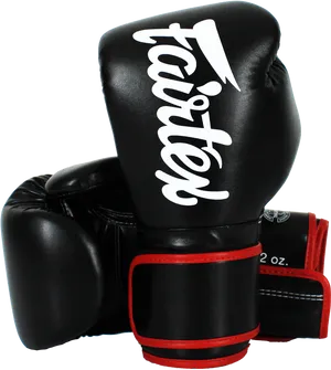 Professional Kickboxing Gloves PNG