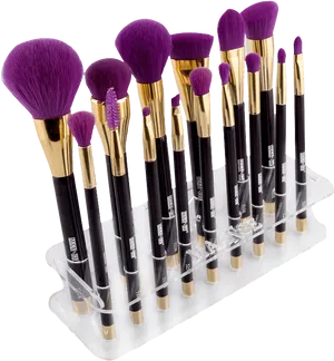 Professional Makeup Brush Set PNG Image