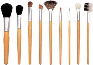 Professional Makeup Brush Set PNG Image