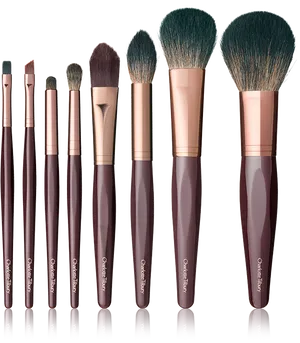 Professional Makeup Brush Set PNG Image