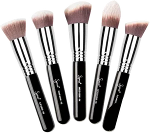 Professional Makeup Brush Set PNG Image