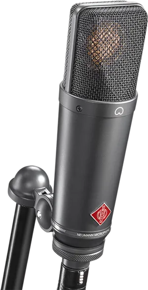 Professional Neumann Studio Microphone PNG Image