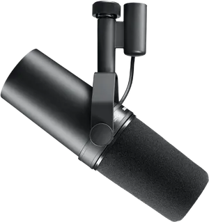 Professional Studio Microphone PNG Image