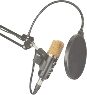 Professional Studio Microphone With Pop Filter PNG Image