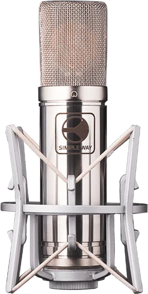 Professional Studio Microphone PNG