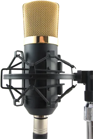 Professional Studio Microphoneon Stand PNG Image