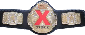 Professional Wrestling Championship Belt PNG Image