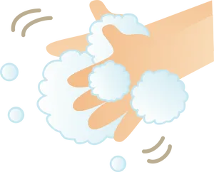 Proper Hand Washing Technique PNG Image