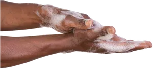 Proper Hand Washing Technique PNG Image