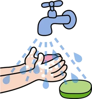 Proper Hand Washing Technique PNG Image