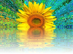 Psychedelic Sunflower Reflection