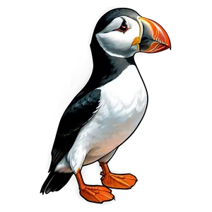 Puffin Illustration Png Kqn PNG Image